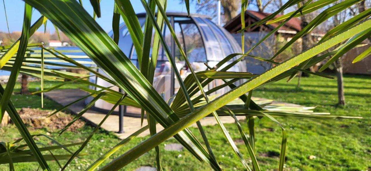 Le Dome Du Lac Ardres Εξωτερικό φωτογραφία